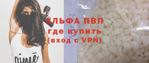 трава Тавда