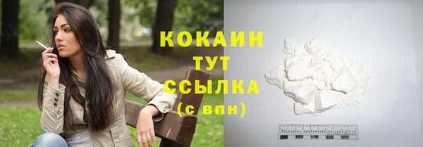 соль ск Горно-Алтайск