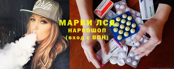 трава Тавда